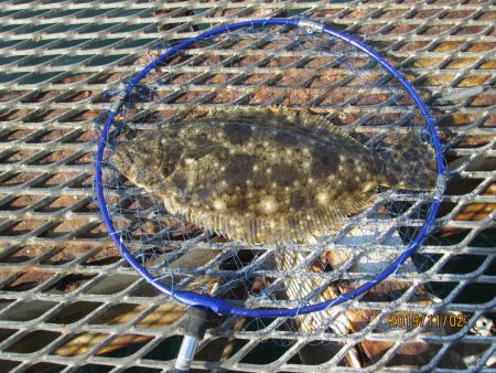 下関フィッシングパーク 釣果