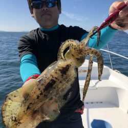 Magic(マジック) 釣果