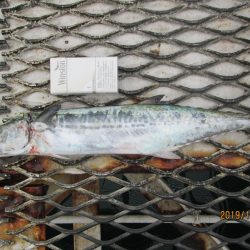 下関フィッシングパーク 釣果