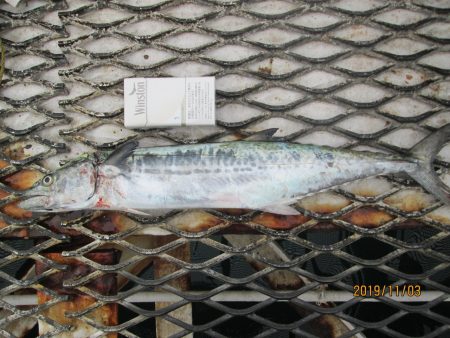 下関フィッシングパーク 釣果