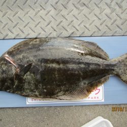 下関フィッシングパーク 釣果