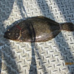 下関フィッシングパーク 釣果