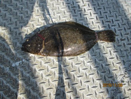 下関フィッシングパーク 釣果