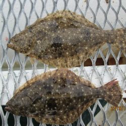 下関フィッシングパーク 釣果