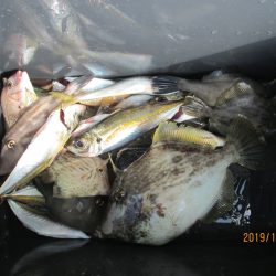 下関フィッシングパーク 釣果