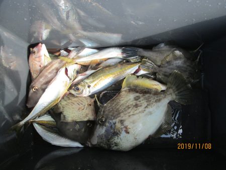 下関フィッシングパーク 釣果