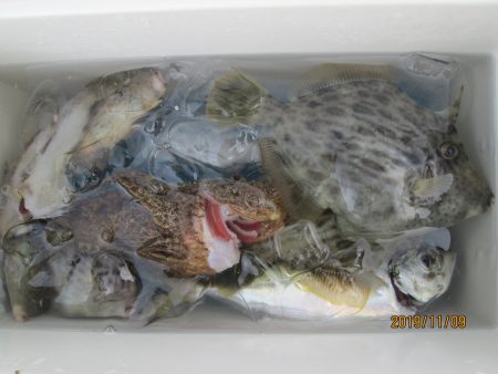 下関フィッシングパーク 釣果