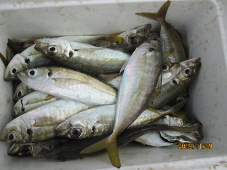 下関フィッシングパーク 釣果