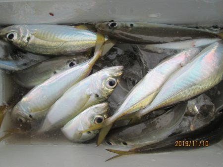 下関フィッシングパーク 釣果