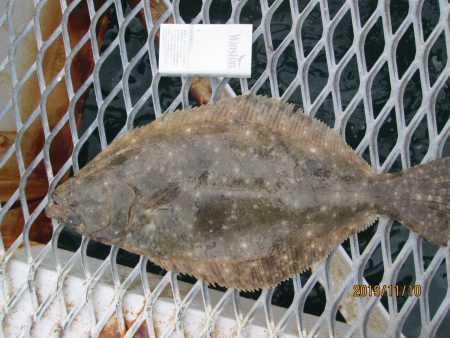 下関フィッシングパーク 釣果