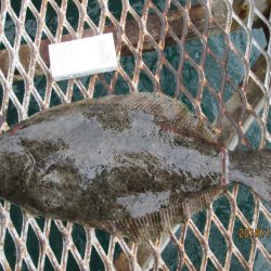 下関フィッシングパーク 釣果