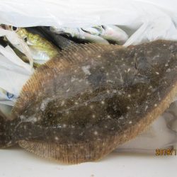 下関フィッシングパーク 釣果