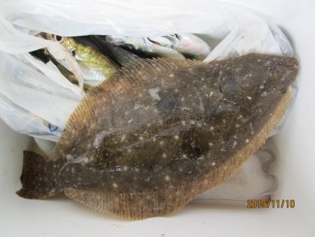 下関フィッシングパーク 釣果