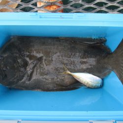 下関フィッシングパーク 釣果