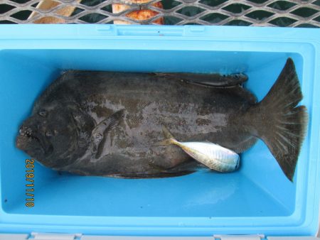 下関フィッシングパーク 釣果