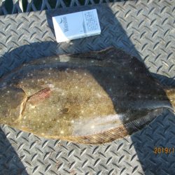 下関フィッシングパーク 釣果