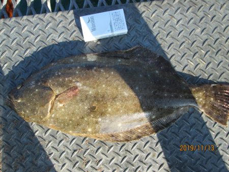 下関フィッシングパーク 釣果