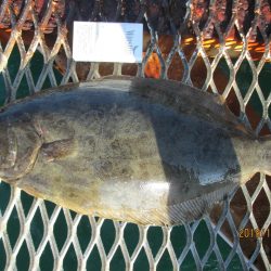 下関フィッシングパーク 釣果