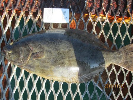 下関フィッシングパーク 釣果