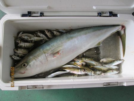 下関フィッシングパーク 釣果