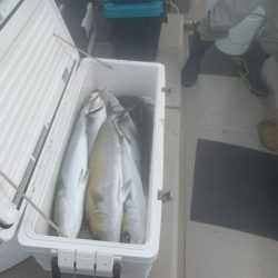 第八大安丸 釣果