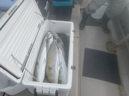 第八大安丸 釣果