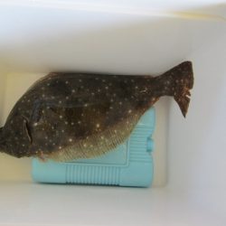 下関フィッシングパーク 釣果