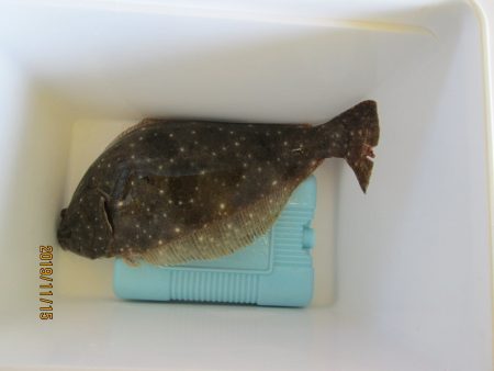 下関フィッシングパーク 釣果