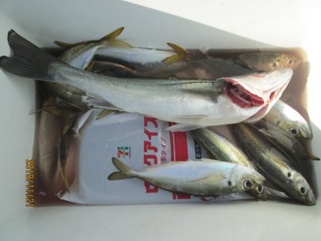 下関フィッシングパーク 釣果