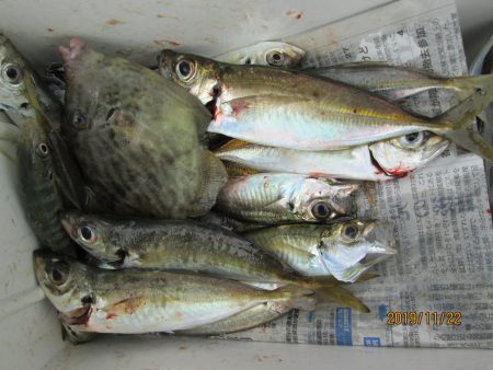 下関フィッシングパーク 釣果