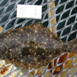 下関フィッシングパーク 釣果