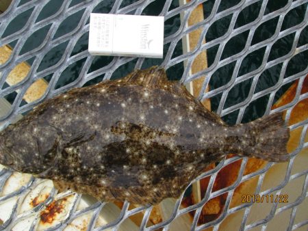 下関フィッシングパーク 釣果