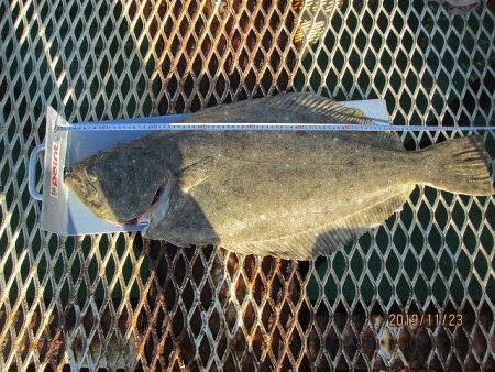 下関フィッシングパーク 釣果