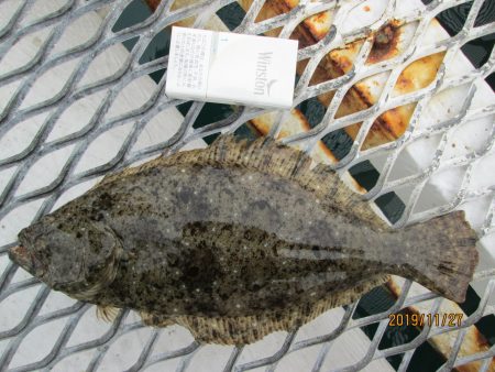 下関フィッシングパーク 釣果