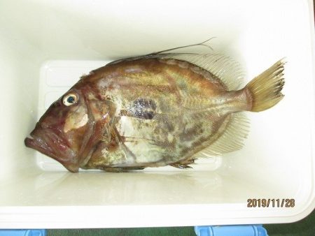 下関フィッシングパーク 釣果