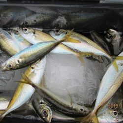 下関フィッシングパーク 釣果