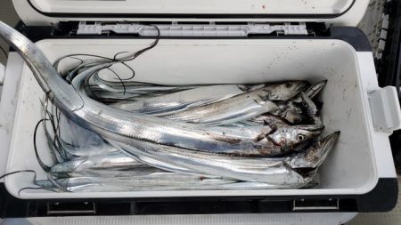 遊漁船 ニライカナイ 釣果