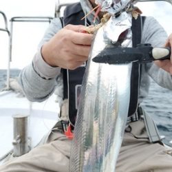 遊漁船 ニライカナイ 釣果