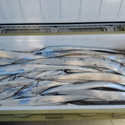 遊漁船 ニライカナイ 釣果