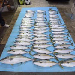 まるいち丸 ZERO-1 釣果