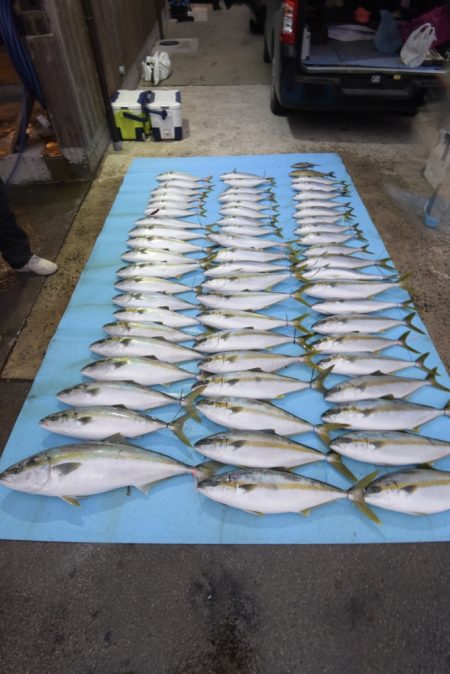 まるいち丸 ZERO-1 釣果