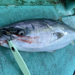 広進丸 釣果