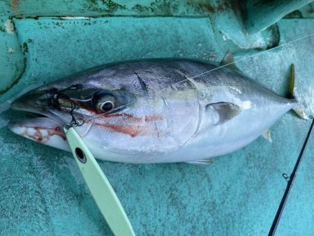 広進丸 釣果