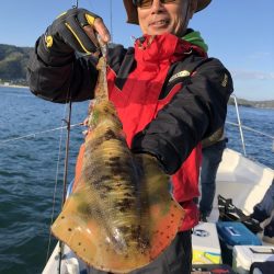 Magic(マジック) 釣果