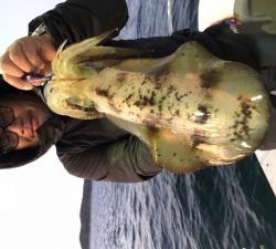 白墨丸 釣果