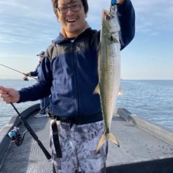 シーマジカル 釣果