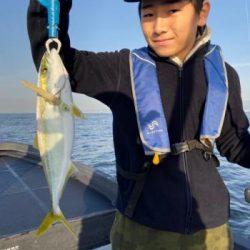 シーマジカル 釣果