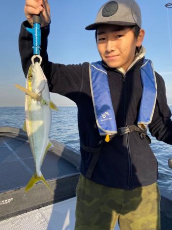 シーマジカル 釣果