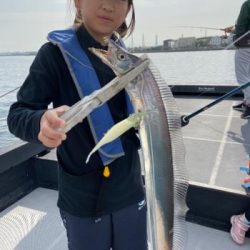 シーマジカル 釣果