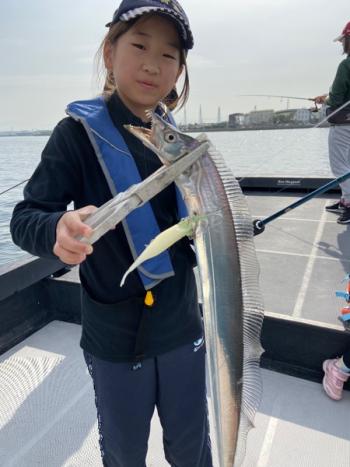 シーマジカル 釣果